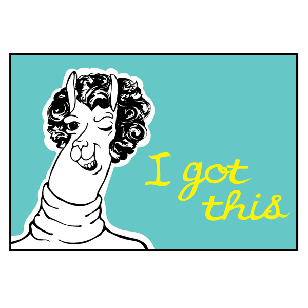 llama Illustration Graphic Design